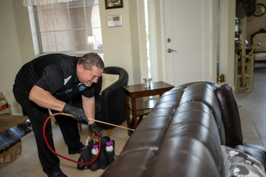 bed bug exterminator in Arizona